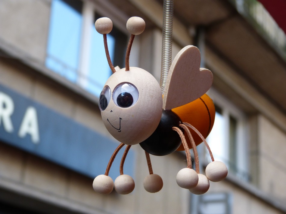 Autour de chez moi ...