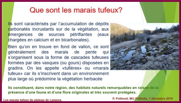 "Les marais tufeux du Plateau de Langres", une conférence proposée par la Société Mycologique du Châtillonnais