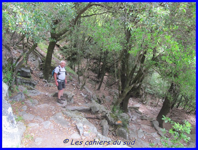 Corse 2016 Ota-Evisa par les gorges de la Spelonca