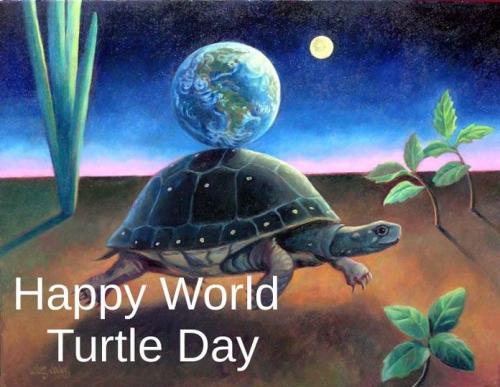 Journée mondiale de la tortue