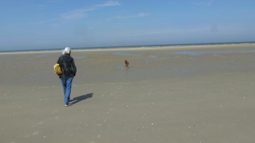 Le Pas de Calais 
