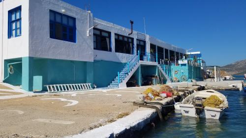 Le regard de la sentinelle