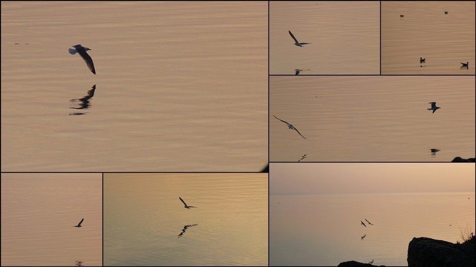 Istres Mouettes montage