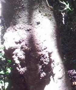 La Page de Marsouin3