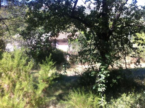 Propriété rurale et routière livrée aux promoteurs - Rousset