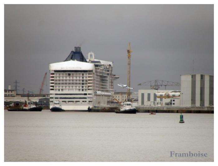 MSC DIVINA  quitte la cale sèche 