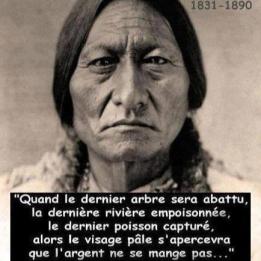 Afficher l'image d'origine