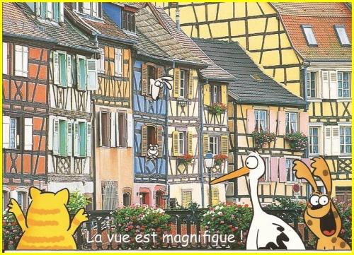 ⊱♥⊱╮ღ꧁ Aujourd'hui Département  68 ꧂ღ╭⊱♥≺