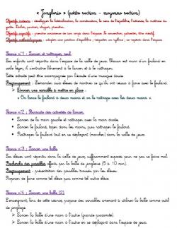 Jonglerie PS-MS