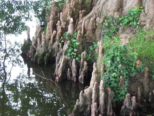 DSCF4068.JPG