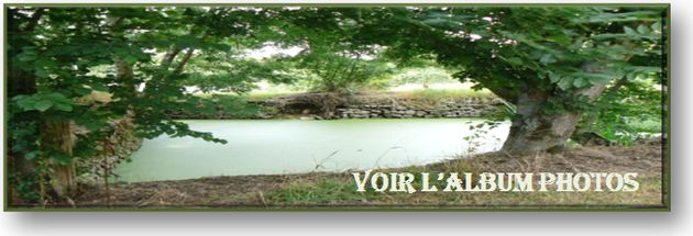 Voir l'album photos