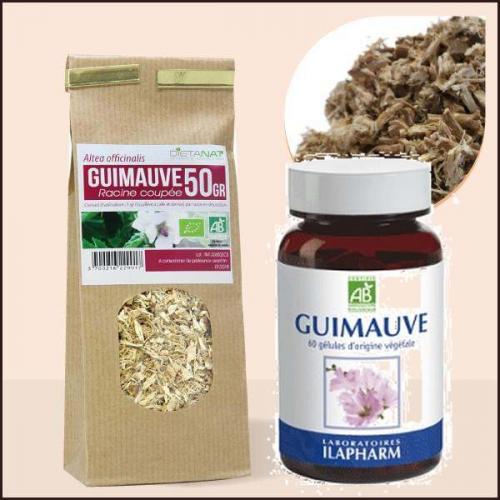 Fleurs cultivées : Guimauve