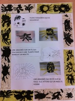 Les insectes