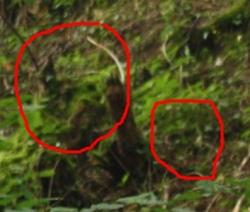 La Page de Nathalie Hayes