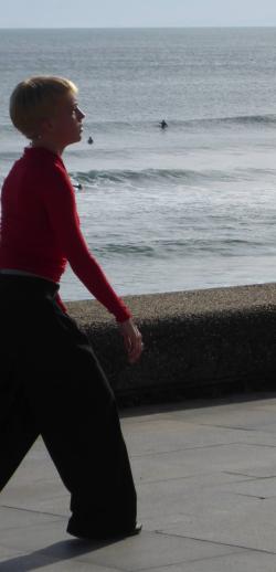 Kubilai Khan Investigations - Anglet