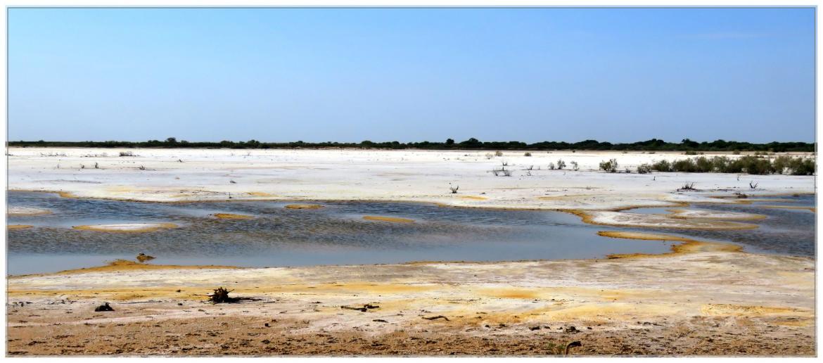 LES  PEULES  DU  NORD  SENEGAL 2019