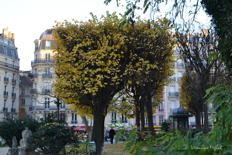  L'île de la Cité : Square René-Viviani - Montebello