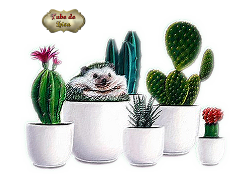 Animaux série 10