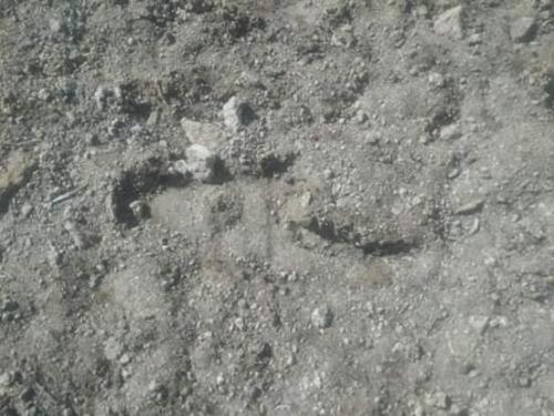 Rencontres avec des humanoïdes.