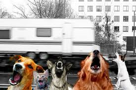 chiens_aboient