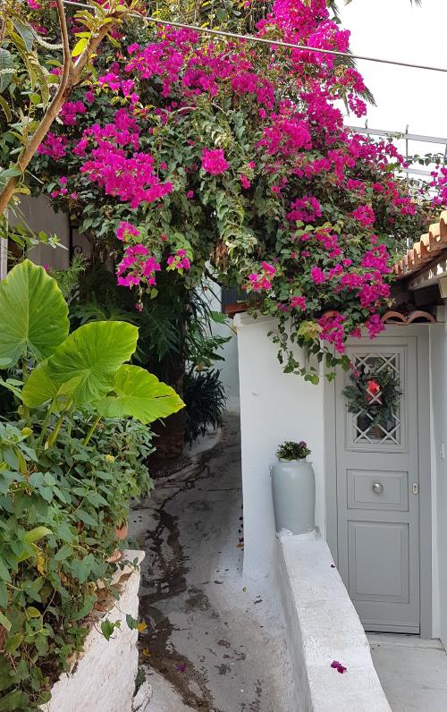 ATHENES PLAKA