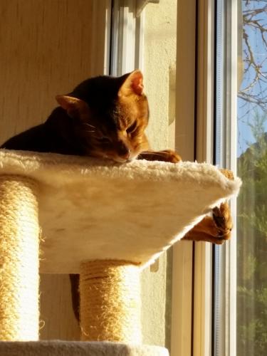 Chat perché !!!!!! 