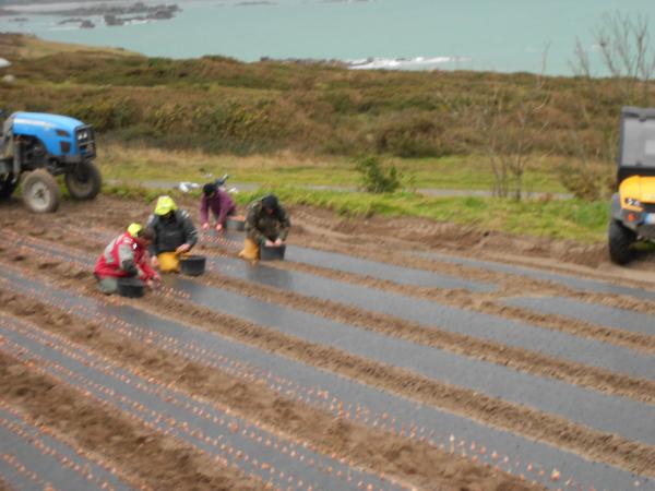 Courageux nos agriculteurs !