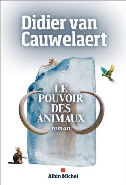 Entre mots fléchés et crochet