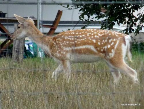 Lundi 21 au Dimanche 27.09 + Bonus