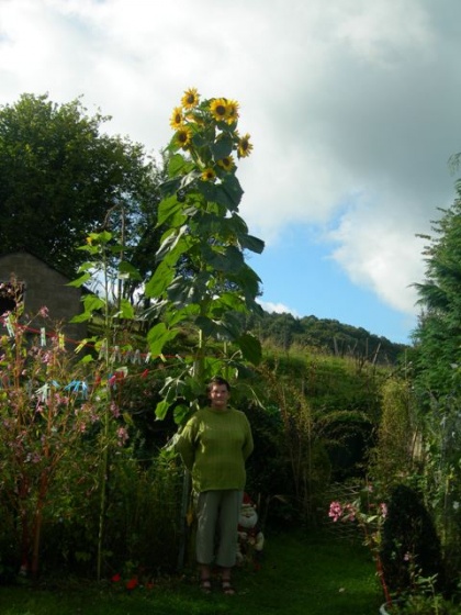 Un cheval, un baobabs....C'est monumental!