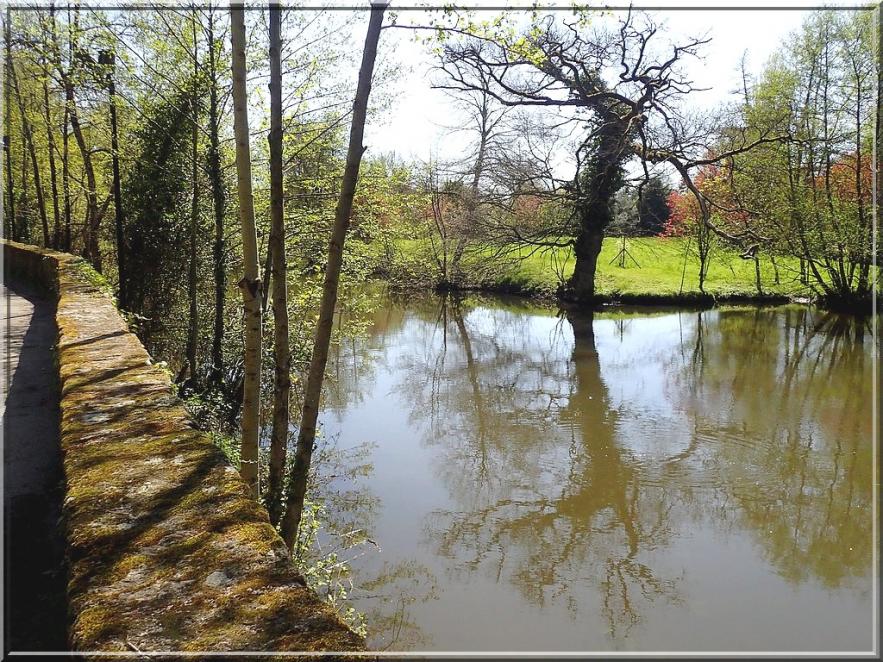 904 - Suite7 : -Notre Chemin vers St Jacques de Compostelle à travers ses anecdotes- !