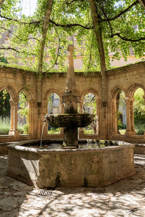 OC 2021 : Valmagne ou les vignes du Seigneur... (2/2)