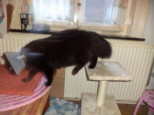 Rhaaaa! Je suis fatiguée!