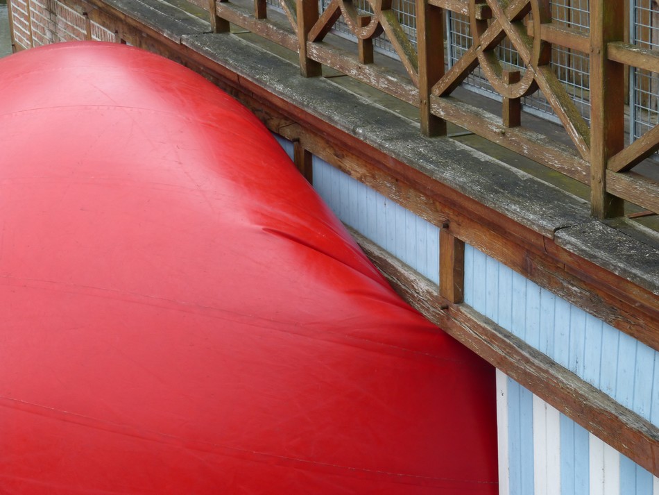 Photos autour d'un nez de clown