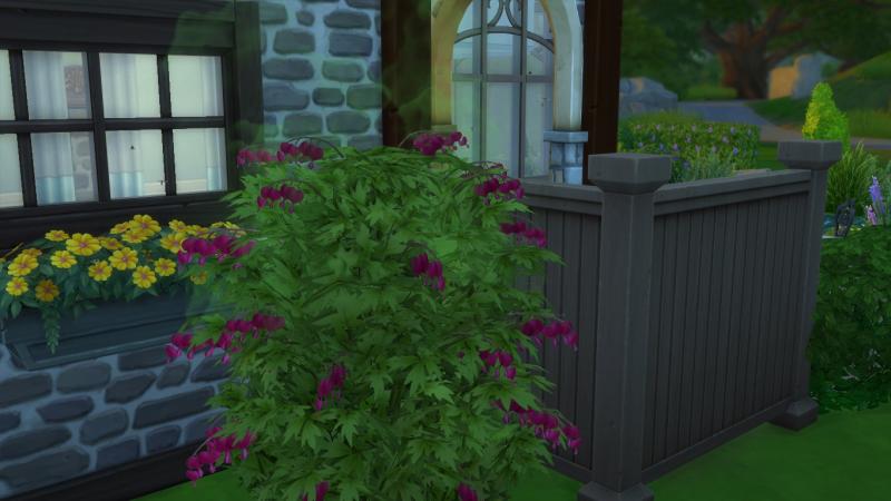 Semaine 2 - Quartier Windenburg - Foyer Rocca-N'Guyen