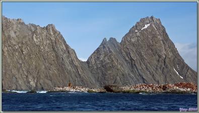 Point Wild avec le buste du Commandant Pardo et Belsham Cape