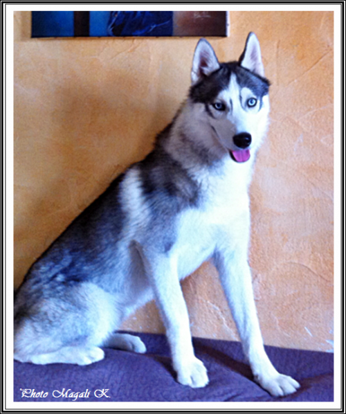 Damon (9,5 mois)