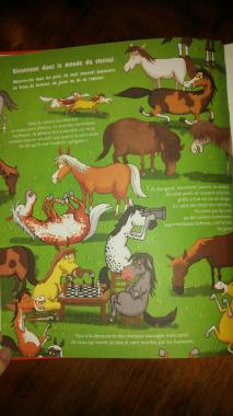 Tout sur le cheval... et le reste