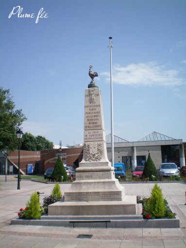 Image61.jpg