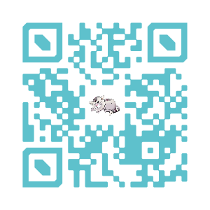 QR Code Son a ce1