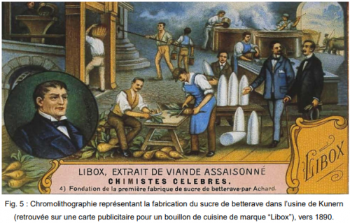Histoire rapide du sucre en Europe et en France