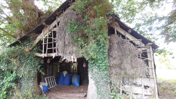 Saint-Jugon La Gacilly (56)