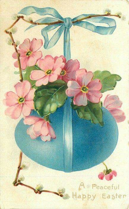 Image005.jpg