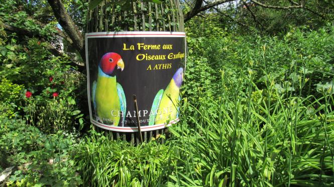 Parc de la Montagne de Reins Juin 2017 (Ferme aux oiseaux exotiques de Athis