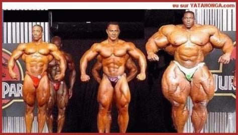 Que Des Muscles.
