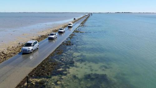 Ile de Noirmoutier  ( Vendée )