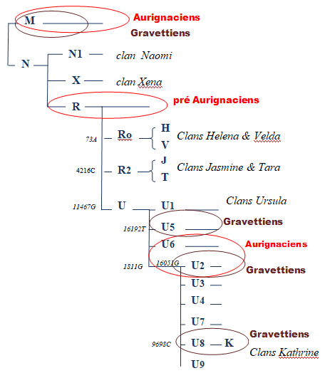 Les Hommes "modernes" du Paléolithique