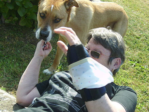 IMGP0279.JPG