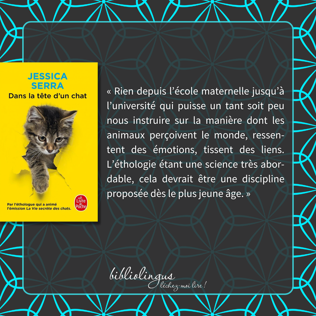 dans la tete d'un chat citations bibliolingus