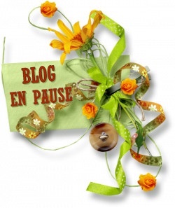 Le fleur d'or du petit jardin ....